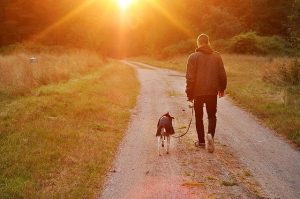 dog owner walking